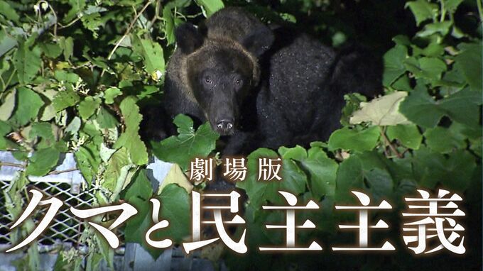 『劇場版 クマと民主主義』監督に聞く本作の見どころ 「人の命にもクマの命にも向き合っていなかった」7年の取材で見えた“クマと人の課題”|TBS NEWS DIG