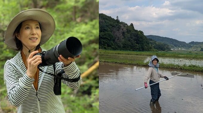 【 磯野貴理子 】「今日も田植えの準備です！」　巣作りする水鳥・カイツブリを見つけて「遠くから見守ろう」|TBS NEWS DIG