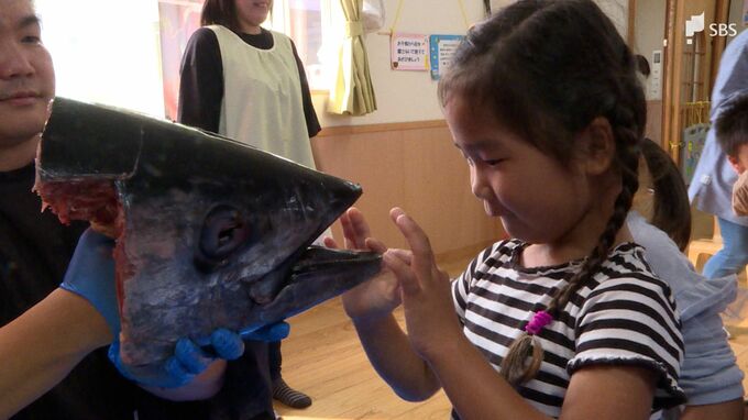 「舌が固いと思わなかった」園児もびっくり 保育園でマグロの解体ショー＝静岡・焼津市　|　静岡のニュース | SBSNEWS | 静岡放送