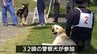 警察犬の能力の向上へ　宮崎市で競技会　ポメラニアンやシェパードなど32頭が参加　|　MRTニュース ｜ ＭＲＴ宮崎放送