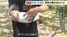 「逃げようと思ったらクマが目の前でグワーッと…」体長約1mのクマにかまれ７針縫った猟友会メンバーが証言　京都府内での人身被害は今年度初　|　MBSニュース | 関西の最新ニュースを分かりやすく。