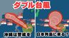 【トリプル台風→ダブル台風に】「台風18号」沖縄地方は高波に警戒を「台風19号」日本列島には来る？「台風17号」は熱帯低気圧に　16日間の天気シミュレーション【気象庁 台風情報・20日午前10時10分発表】|TBS NEWS DIG