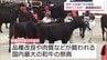 来年 北海道で開催「全国和牛能力共進会」での宮崎牛5連覇に向けて　宮崎県推進協議会の総会　|　MRTニュース ｜ ＭＲＴ宮崎放送