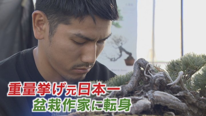 元重量挙げ全日本チャンピオンが盆栽作家に転身　新たな人生でも掲げる目標は「日本一」