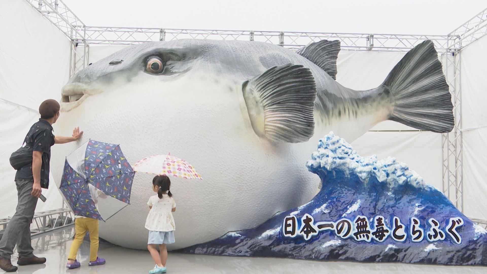 フグ1、13メートル 日本最大級！「高さ3.5mのトラフグ」登場 実は熊本県天草市にたくさん