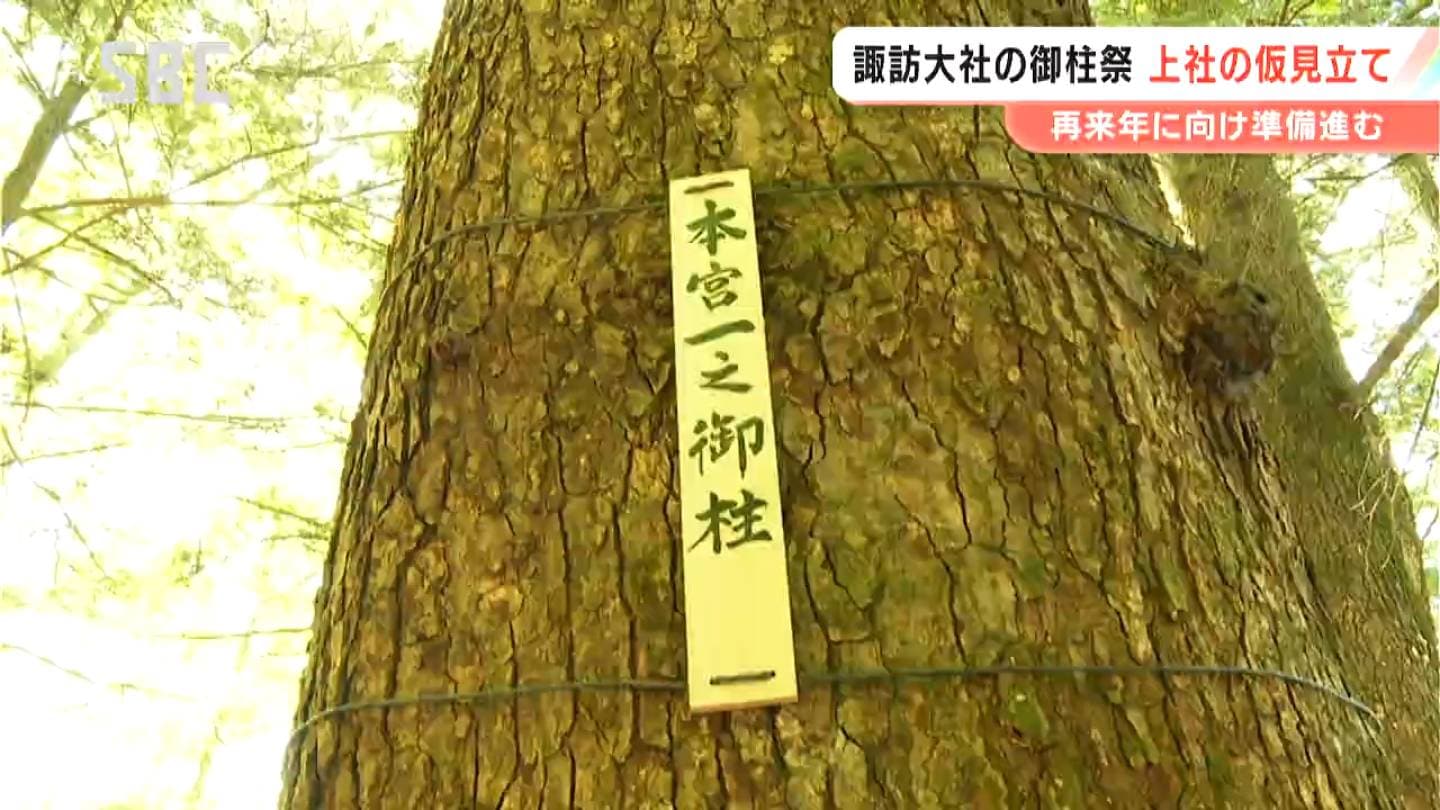 諏訪大社上社の御柱祭へ仮見立て 本宮と前宮の計8本の候補を決定 伊那