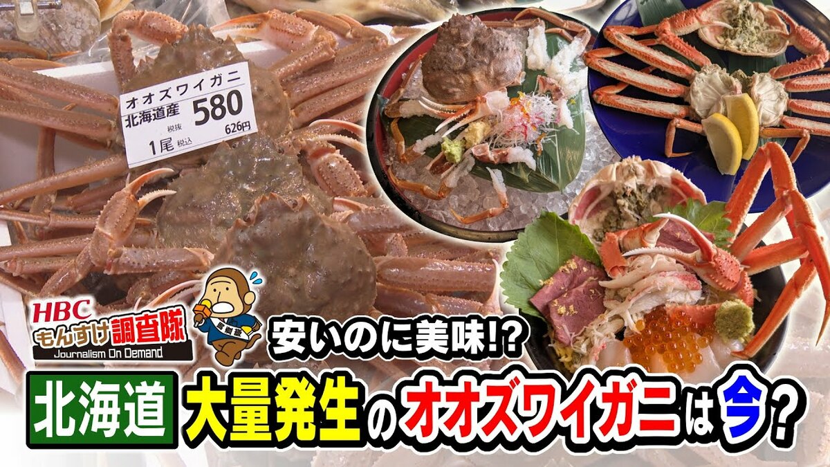 大量発生で“厄介者”だったオオズワイガニ、今は浜の「救世主」に