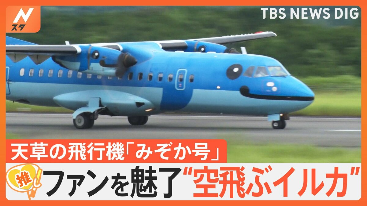 飛行機 空飛ぶイルカ”が大人気！熊本・天草発の飛行機「みぞか号」 根強い