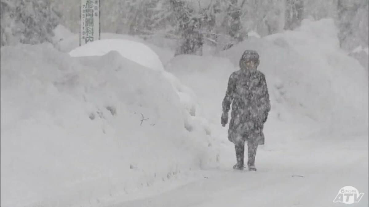 続報】雪害で奥羽本線弘前―秋田・大館間が2日終日運休 青森県青森市の