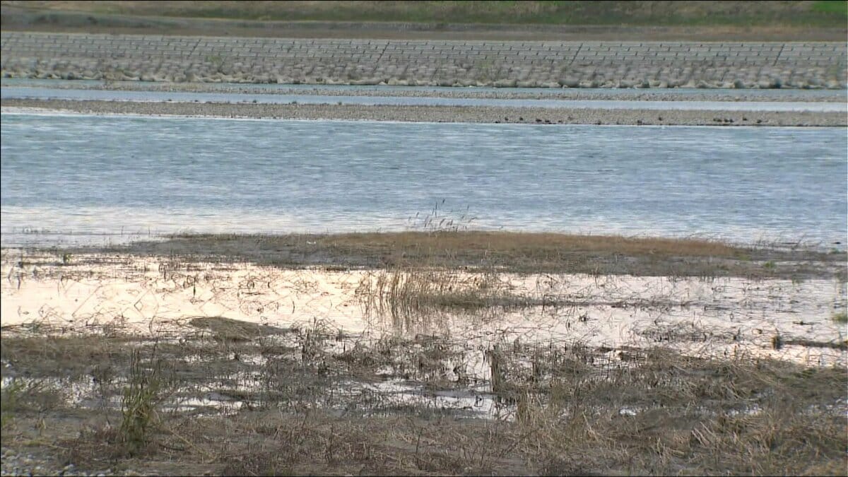 サムネイル_十日町市で行方不明だった当時中学生3年生の樋口まりんさん 長岡市内の信濃川の中州で発見される 新潟県