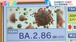 コロナ“新変異株”ピロラ 国内で初確認 症状の特徴と感染の可能性を医師に聞く【ひるおび】|TBS NEWS DIG