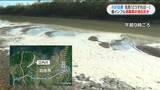 出水市の川が白く濁る 防疫消毒の影響か 住民「どうすれば」 鹿児島県 | 鹿児島のニュース|MBC NEWS|南日本放送