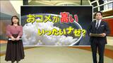 おコメが高い!令和のコメ騒動…火種は昭和に?半世紀に及ぶ”減反政策”の代償「需給管理は綱渡り。何かあるとすぐコメ不足に陥る可能性があった」 | 宮城のニュース│tbc NEWS│tbc東北放送