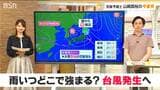 “強い台風”が前線を刺激するおそれも「土日はしだいに梅雨空へ」21日は低い土地の浸水や河川の増水に注意・警戒を【気象予報士・山崎貴裕のお天気解説】新潟県|TBS NEWS DIG