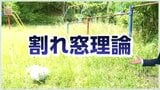 【割れ窓理論】雑草伸び放題の公園に潜む危険「まともな人が寄り付かなくなる」公園管理と犯罪社会学の共通点 | 宮城のニュース│tbc NEWS│tbc東北放送