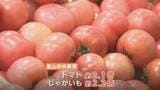 トマトや玉ねぎなど15種類の野菜が激安!その理由は？ でも、やっぱりキャベツは“対象外”　野菜の大規模セールに客殺到　|　富山のニュース｜天気・防災｜チューリップテレビ