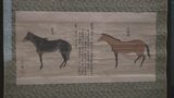 県立博物館 新収蔵品展はじまる|TBS NEWS DIG