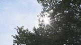 石川・小松市で39度超 今年一番の暑さ 金沢市では猛暑・少雨で芝生変色|TBS NEWS DIG