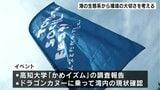 環境問題への意識を 身近な海の生態系から考える環境の大切さ ドラゴンカヌーにも乗船【高知】|TBS NEWS DIG