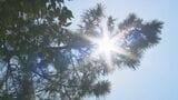 10日ぶりの猛暑日…お盆休み明けの残暑は「暑熱順化リセット」に注意「お盆の期間は普段は涼しいところにいる方が…」　|　BSSニュース | BSS山陰放送