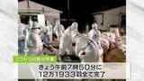 青森・横浜町の鳥インフル12万2000羽の処分完了 24日午後にも防疫措置完了へ|TBS NEWS DIG