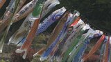 約450匹のこいのぼりが青空の中を泳ぐ 子どもの名前入りの鯉も 北杜市高根町長沢 | 山梨のニュース | UTYテレビ山梨