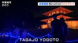 多賀城跡が光の空間に ライトアップに加え夜空照らすサーチライト演出も 宮城・多賀城市 | 宮城のニュース│tbc NEWS│tbc東北放送
