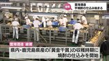 今年の芋焼酎の仕込み始まる 雲海酒造綾蔵 1日あたり一升瓶3万2000本を生産|TBS NEWS DIG
