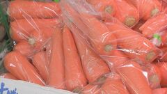 11月の野菜価格の見通し ｢ねぎ」「にんじん」「たまねぎ」が高い　農水省| TBS CROSS DIG with Bloomberg