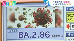 コロナ“新変異株”ピロラ 国内で初確認 症状の特徴と感染の可能性を医師に聞く【ひるおび】|TBS NEWS DIG