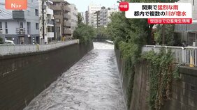関東で猛烈な雨 目黒川に「氾濫危険情報」現在の様子は 東京都内で複数の河川が増水「氾濫発生情報」など発表|TBS NEWS DIG