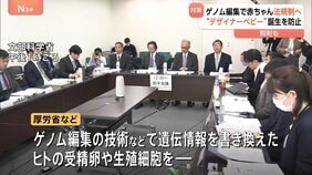 “ゲノム編集で赤ちゃん”法規制へ　「デザイナーベビー」などの懸念踏まえて　罰則も　厚生労働省など|TBS NEWS DIG