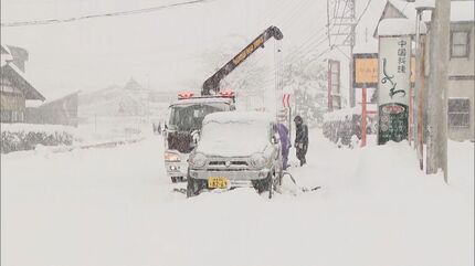 名古屋は今季初の「冬日」に ハトも凍った小川で足滑らせる 岐阜・白