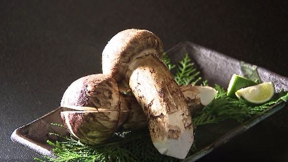 秋の味覚の王様！マツタケ小屋オープン「３か月で１トン以上さばく」外国人客も増加|TBS NEWS DIG