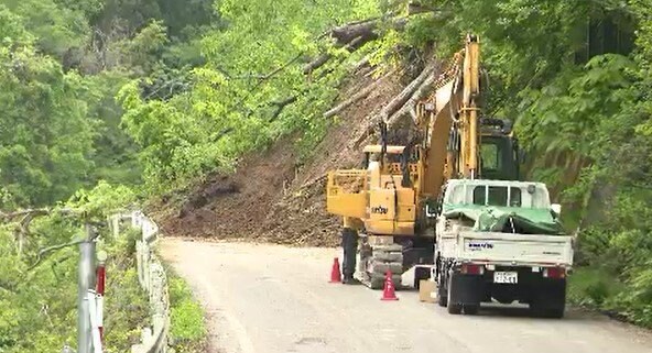 「見頃だったのに…」ミズバショウの名所・奥裾花自然園が休園に…観光関係者は落胆「今シーズンはダメだ」 林道の土砂崩落が影響 長野市鬼無里|TBS NEWS DIG