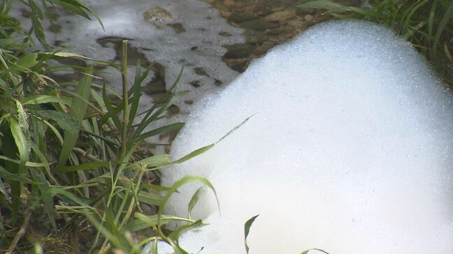 「国主導で早急な規制強化を」PFASで心筋梗塞リスク　国内初の研究結果　血中濃度と心血管リスクの関連は|TBS NEWS DIG