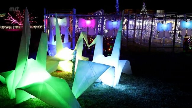 約１０万球のイルミネーションが彩る　日南市堀川運河沿いの「堀川夢ひろば」|TBS NEWS DIG