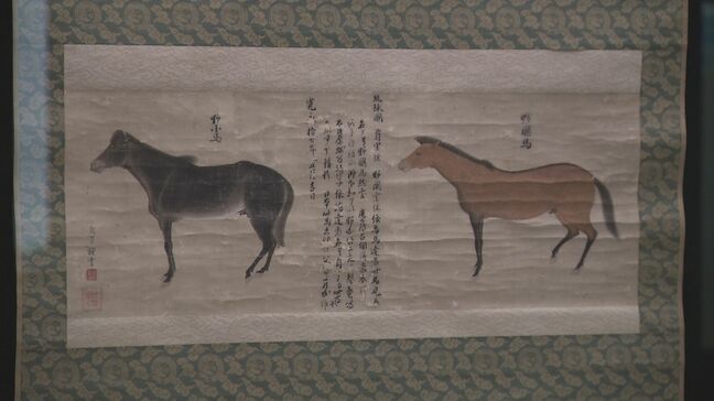 県立博物館 新収蔵品展はじまる|TBS NEWS DIG