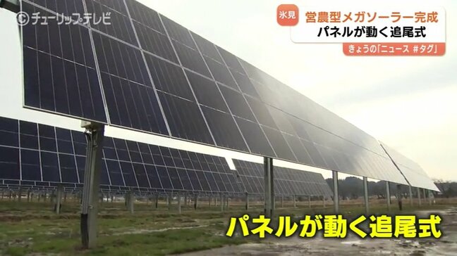 北陸初の営農型メガソーラー完成 ブランド米「富富富」を育てながら二酸化炭素 年間740トン削減へ 追尾式を採用 富山・氷見市|TBS NEWS DIG