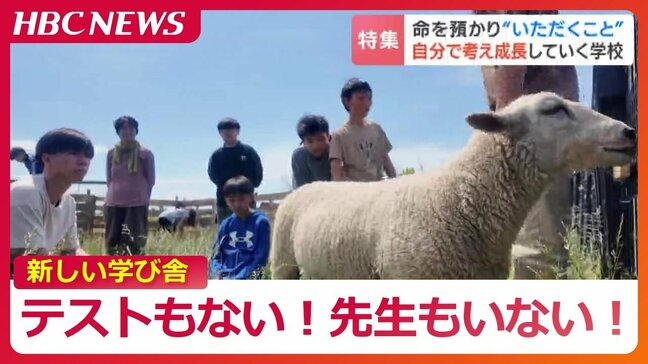 【新しい学び舎】テストもない！先生もいない！北海道長沼町にある小中学校の驚きの教育方針　ブタ？ヒツジ？子どもたちが決める「命をいただく」授業|TBS NEWS DIG
