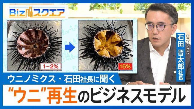 海藻を食い荒らす“痩せたウニ”がプリプリに…海を守って収益も「一石三鳥」の畜養ビジネスとは?【Bizスクエア】 |TBS NEWS DIG