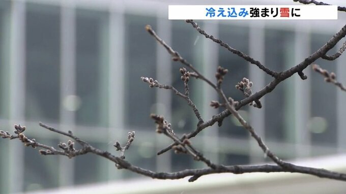 季節外れの雪に　冷え込み強まり上市でー２．８℃　冬型の気圧配置で真冬の寒さ　富山　|　富山のニュース｜天気・防災｜チューリップテレビ