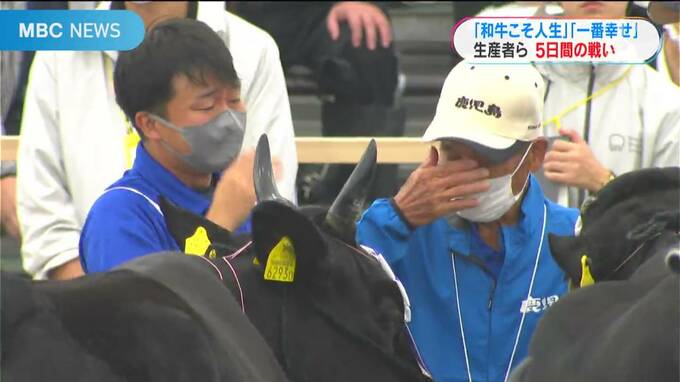 涙…笑い…「和牛に人生かけた」生産者たち　５日間の戦い|TBS NEWS DIG