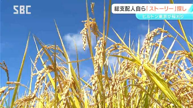 「客にストーリーを伝えたい」都内のホテル「ヒルトン東京」が稲刈り体験　支配人や総料理長など約20人参加　長野・上田市　|　SBC NEWS | 長野のニュース | SBC信越放送