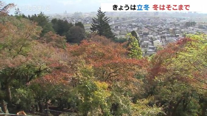 二十四節気「立冬」でも冬の訪れは少し先…木々はようやく色づき始め　富山|TBS NEWS DIG