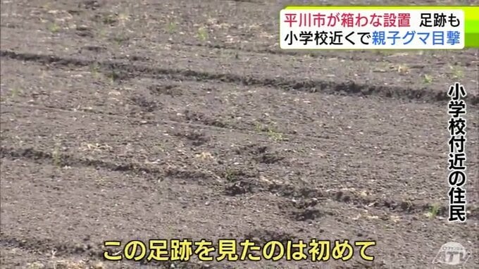 【詳報】“親子グマ”目撃され「箱わな」設置の平川市　10日ほど前には小学校近くの畑にクマとみられる足跡が…　畑仕事をする住民「怖くて畑にいられない」　市は40基以上の「箱わな」設置などで警戒強める|TBS NEWS DIG