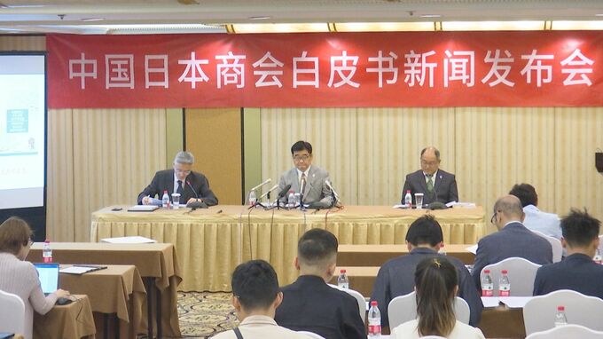 レアアースの輸出審査、迅速化を中国に要望　中国日本商会が「白書」発表|TBS NEWS DIG