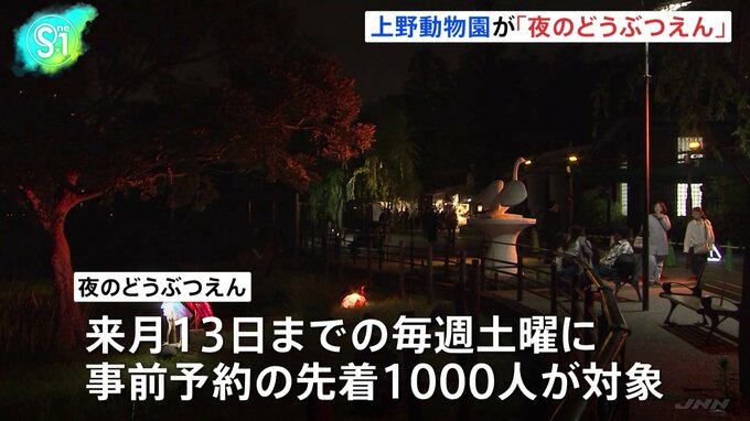 15年ぶり“パンダ不在”の上野動物園で「夜のどうぶつえん」　内容拡充し新たな魅力発信に注力　東京都|TBS NEWS DIG