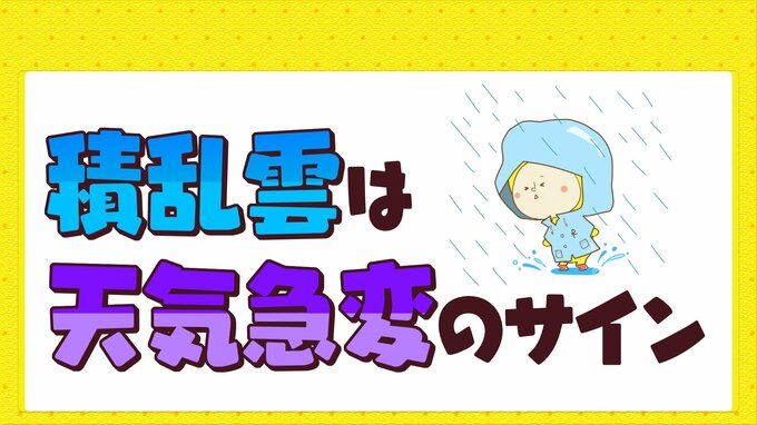 真夏の空模様つづく日々　積乱雲は天気急変のサイン　急な雷雨に気をつけて|TBS NEWS DIG