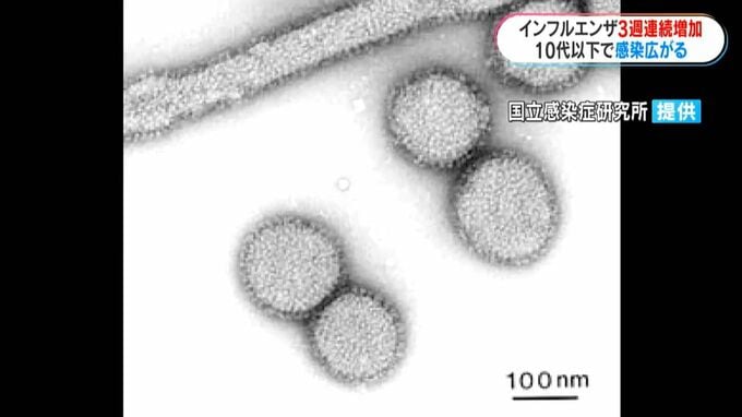 インフルエンザ感染者　3週連続増加　感染者の20歳未満が約76％|TBS NEWS DIG